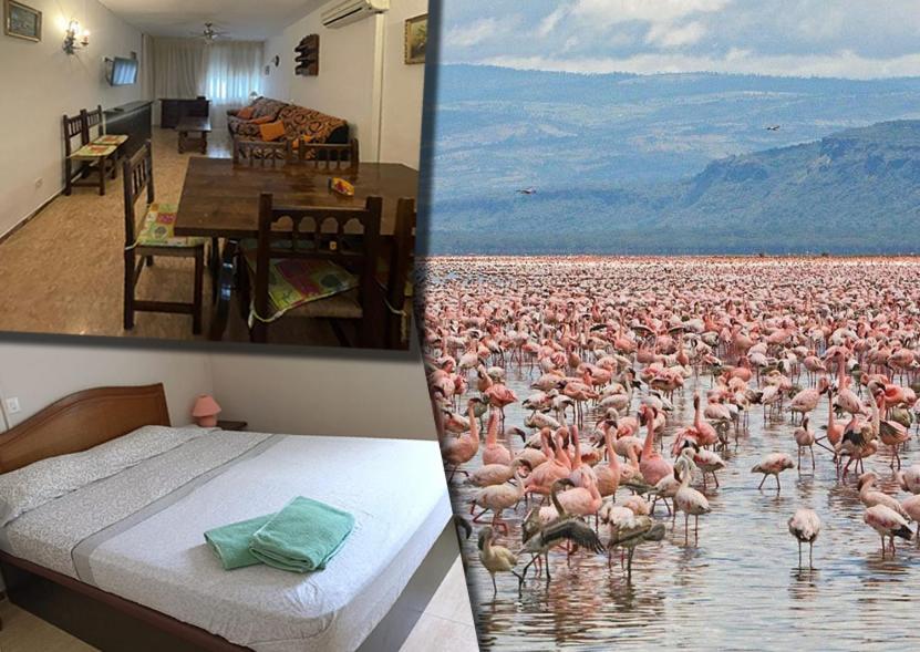 Eucaliptus, Bonito Piso A Pocos Pasos De La Playa Delta De L'Ebre Apartamento L'Eucaliptus Exterior foto